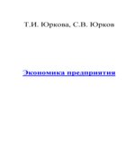 Экономика предприятия