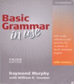 Basic Grammar in Use