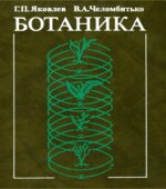 Ботаника