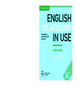 English Vocabulary in Use. Advanced