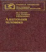 Анатомия человека. М.Г