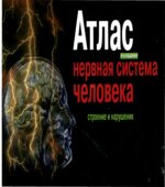 Атлас. Нервная система человека. Строение и нарушения. Астапова В.М., Микадзе Ю.В.