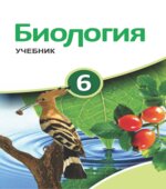 Биология. 6 класс