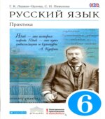 Русский язык. Практика. 6 класс