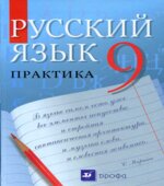 Русский язык. Практика. 9 класс